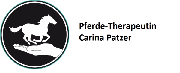 Fachvortrag von Carina Patzer (www.fit-horses.de) zum Thema Neuroathletiktraining für Pferdemenschen (nicht nur für Reiter