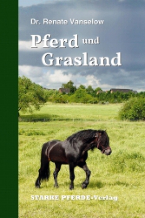 Pferde und Grasland
